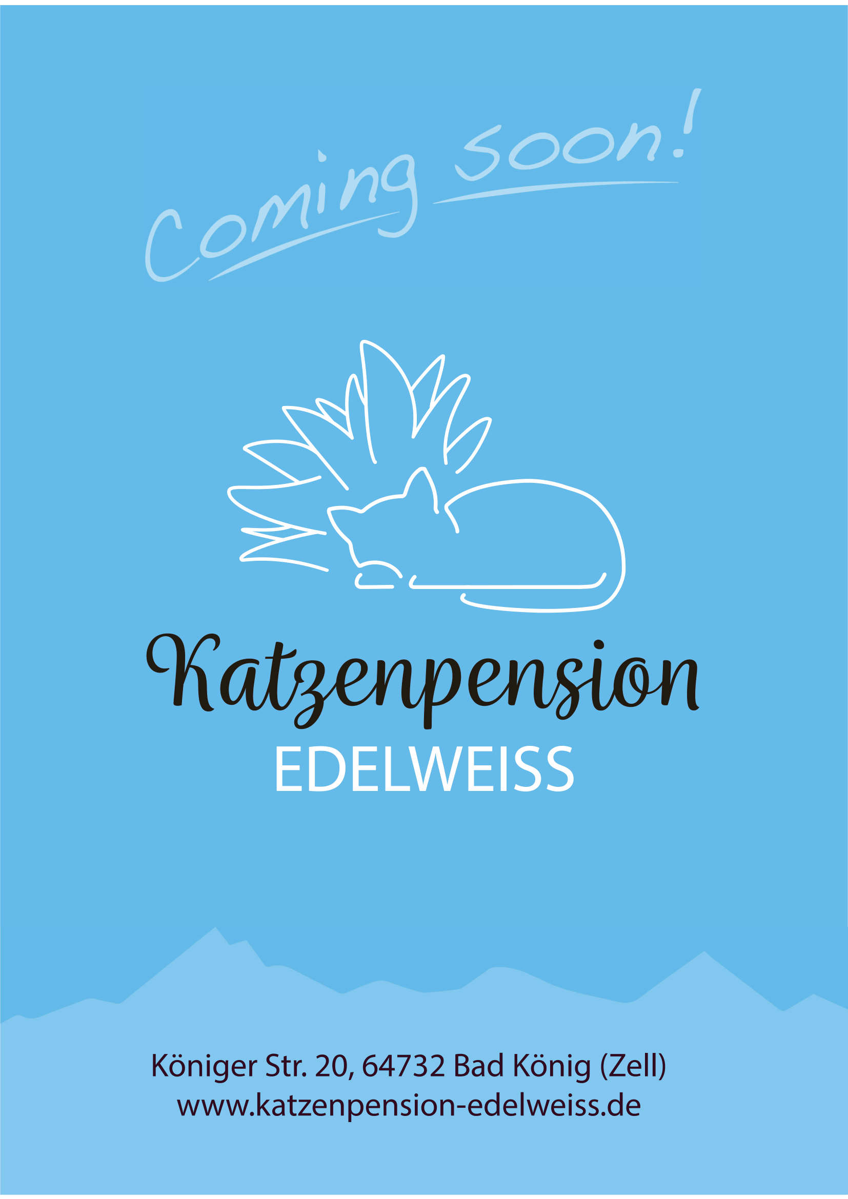 Katzenpension Edelweiss